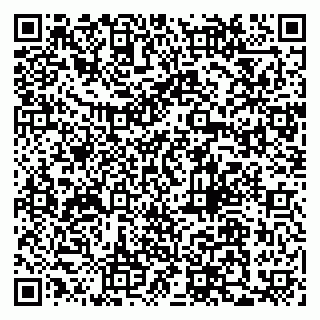 vCard 79110400330