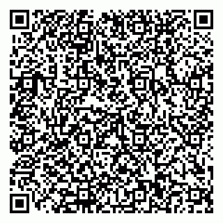 vCard 79110400331
