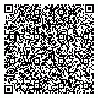 vCard 79110400332