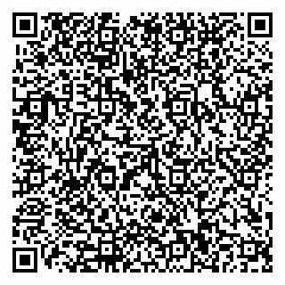 vCard 79110400333