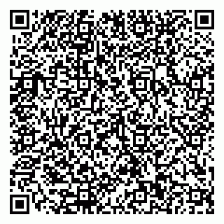 vCard 79110400334