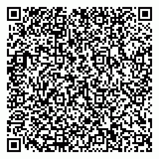 vCard 79110400335