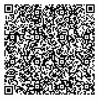 vCard 79110400337