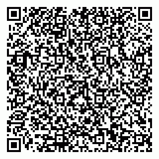 vCard 79110400338
