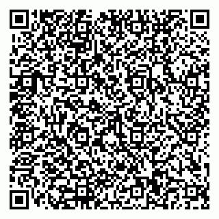 vCard 79110400341