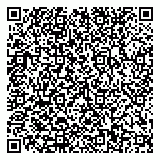vCard 79110400349