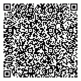 vCard 79110400351