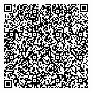 vCard 79110400352