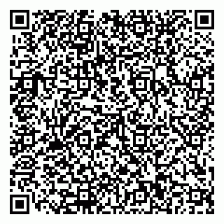 vCard 79110400353