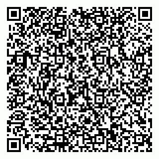 vCard 79110400355