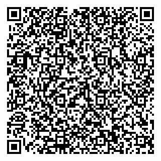 vCard 79110400357