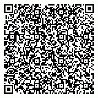 vCard 79110400358