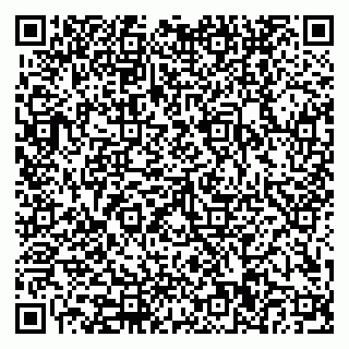 vCard 79110400361