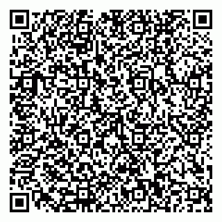 vCard 79110400363