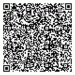 vCard 79110400369