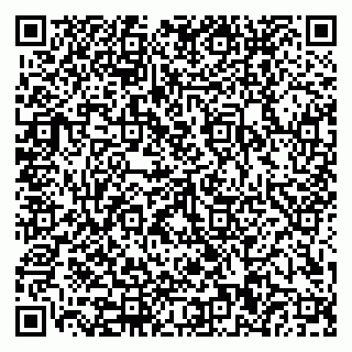 vCard 79110400370