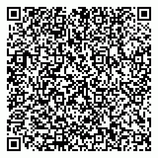 vCard 79110400371
