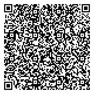 vCard 79110400373