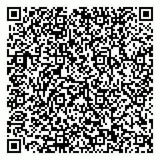 vCard 79110400374