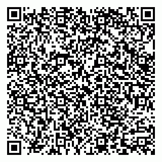 vCard 79110400376