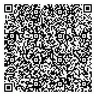 vCard 79110400377