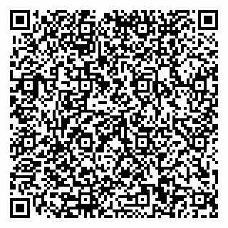 vCard 79110400378