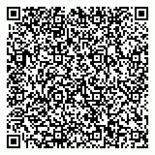vCard 79110400379