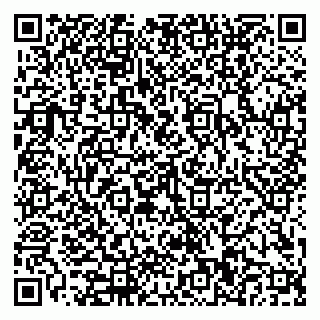 vCard 79110400381