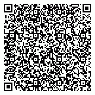 vCard 79110400382