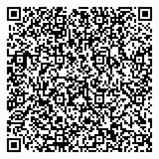 vCard 79110400384