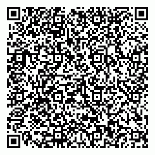 vCard 79110400390