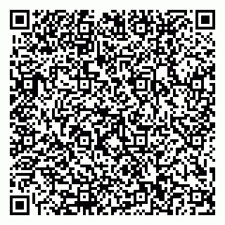 vCard 79110400391