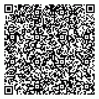 vCard 79110400393