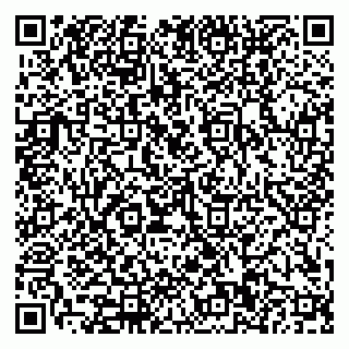 vCard 79110400394
