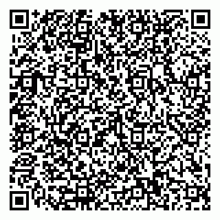 vCard 79110400397