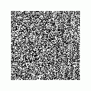 vCard 79110401133