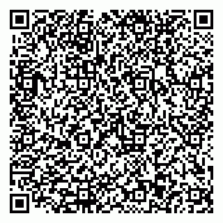 vCard 79110403200