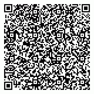 vCard 79110403201