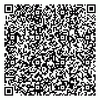 vCard 79110403202