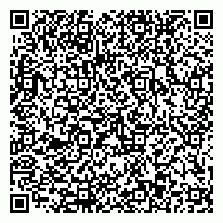 vCard 79110403203