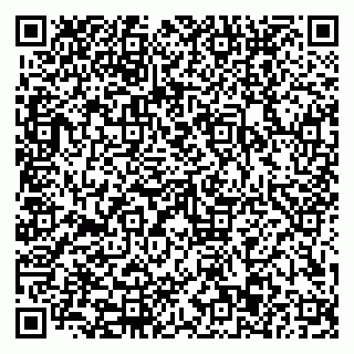 vCard 79110403204