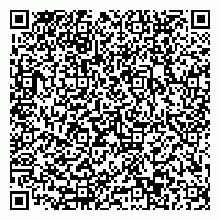 vCard 79110403207
