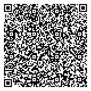 vCard 79110403229
