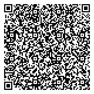vCard 79110403231