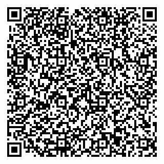 vCard 79110403233