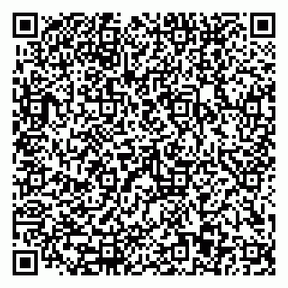 vCard 79110403238