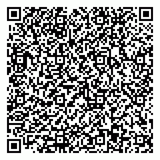 vCard 79110403239