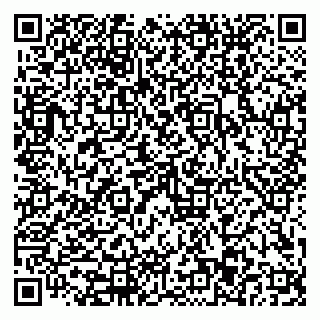 vCard 79110403251