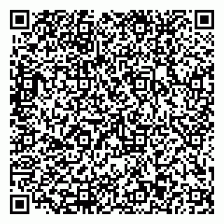 vCard 79110403252