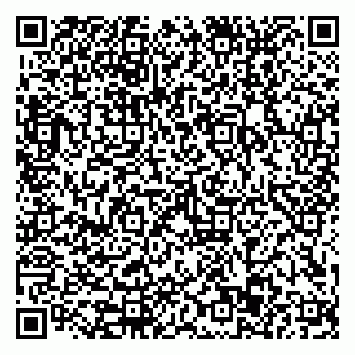 vCard 79110403254